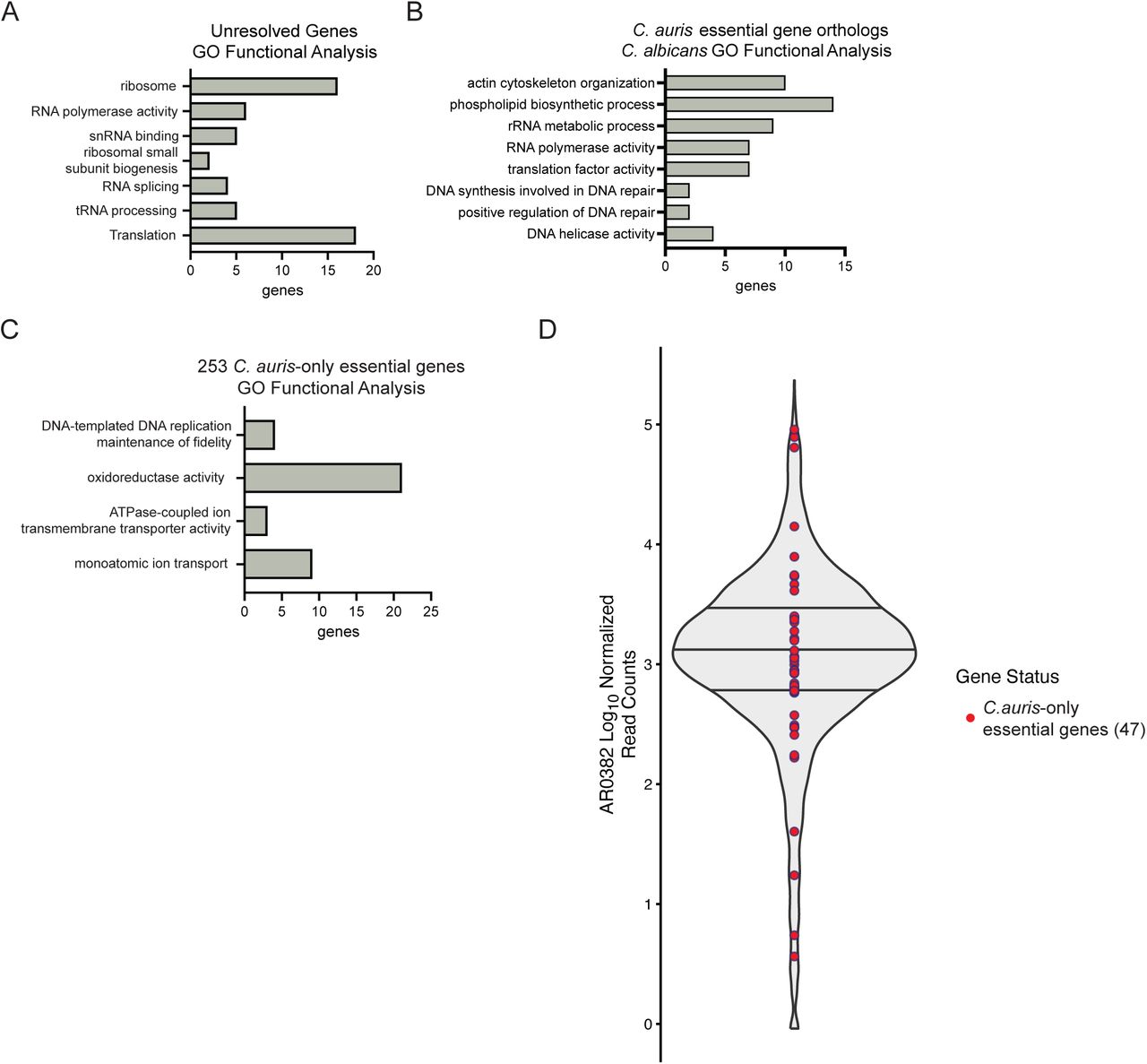 (a,b,c), GO functional analysis of a, 219 C. auris genes in our defined unresolved category, b, 511 C. auris essential genes with orthologs in C. albicans and c, 253 C. auris essential genes without essential orthologs in C. albicans and S. cerevisiae. GO enrichment analysis was performed using the Candida Genome Database GO Term Finder. d, RNAseq expression for C. auris essential and nonessential genes. Unresolved genes were binned with nonessential genes. Set of 47 C. auris essential genes with no orthologs in C. albicans and S. cerevisiae are labeled in blue. Data from Santana et al. 2023.