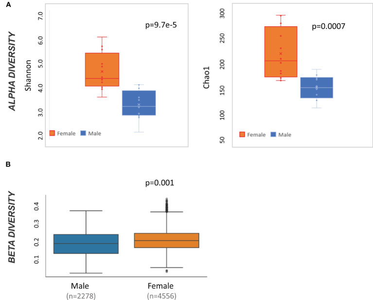Microbiome diversity statistics at baseline by sex. (A) Box and whisker plot of alpha diversity values measured by Shannon and Chao1 and divided by sex. Result of t-test comparing male to female mice is displayed in the top right of each graph. (B) QIIME2-produced box and whisker plots of beta diversity values at baseline measured by weighted Unifrac and divided by sex. Result of pairwise ANOVA comparing meta to female mice is displayed in the bottom left of the plot.