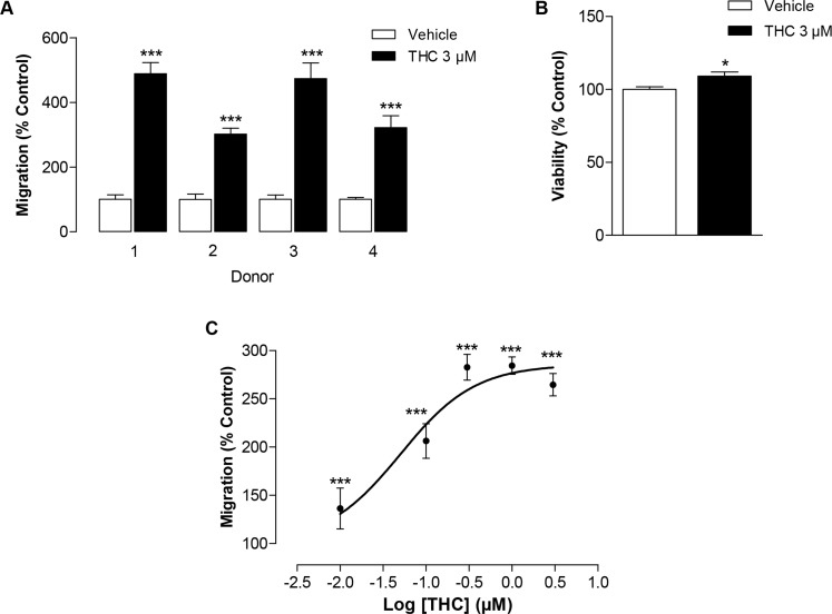 Impact of THC on the migration of MSCs(A) Interdonor variability of THC's effect on migration in Boyden chamber assays. MSCs from 4 different donors were incubated with 3 μM THC or vehicle for 6 h. (B) Modulation of cellular viability by THC. MSCs were incubated with 3 μM THC or vehicle for 6 h and the viability was analyzed by WST-1 test. (C) Concentration-dependent effect of THC on the migration of MSCs in the Boyden chamber assay. Data are expressed as percentage of vehicle-treated controls (set as 100%) and represent means ± SEM of n = 4 (A, C) or n = 4-8 (B) incubations with cells from 1 donor. *P < 0.05, ***P < 0.001 vs. corresponding vehicle control, Student's t test.