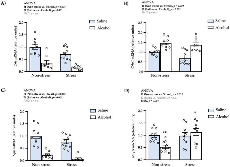 Relative mRNA expression levels of CRH and NPY systems in the amygdala of adult male rats after repeated restraint stress and/or intermittent alcohol exposure during adolescence. Relative mRNA expression of Crh (A); Crhr1 (B); Npy (C); and Npy1r (D) in male adult rats after repeated restraint stress (f1) and/or intermittent alcohol exposure (f2) during adolescence. Bars represent the mean ± SEM (9–10 rats/subgroup). Data were analyzed by two-way ANOVA. (**) q < 0.01 denotes significant differences compared with the non-stress saline subgroup and (##) q < 0.01 denotes significant differences with the non-stress alcohol subgroup using post hoc tests for multiple comparisons when an interaction between factors is found (f1 × f2). p-values in bold denote significant main effects of factors (f1 and f2) or significant interaction (f1 × f2).
