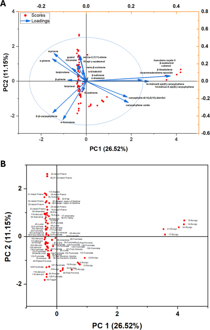 Principal component analysis (PCA) of volatile-oil composition in Italian Cannabis samples. (A) PCA biplot showing sample scores (red dots) and loading vectors (blue arrows) for the major monoterpene and sesquiterpene constituents. The 95% confidence ellipse for the score distribution is shown. (B) Score plot highlighting the dispersion of samples along PC1 and PC2. PC1 and PC2 account for 26.5% and 11.1% of the total variance, respectively. Reference codes for each site are provided in Supplementary Table SS2
