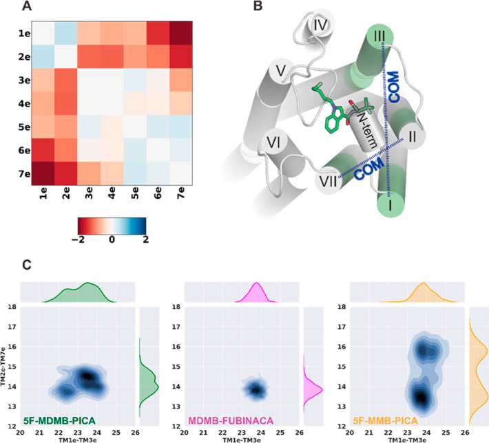 PIA-GPCR analysis and TMs’ COM distribution (A) PIA-GPCR COM results for TMs’ extracellular domain (ΔTMe(COM) = TMe(COM)5F-MDMB-PICA – TMe(COM)5F-MMB-PICA). (B) 5F-MDMB-PICA in the binding pocket. The highlighted transmembrane subsegments are extracellular parts of TM1, TM2, TM3, and TM7 (denoted as TM1e, TM2e, TM3e, and TM7e). The blue dashed arrows show the COM distances between TM1e–TM3e and TM2e–TM7e. (C) 2D distribution of the COM distances. 5F-MMB-PICA shows two distinct distributions for TM2e–TM7e COM distance, which seems to be the result of the changes in head moiety seen for this ligand.