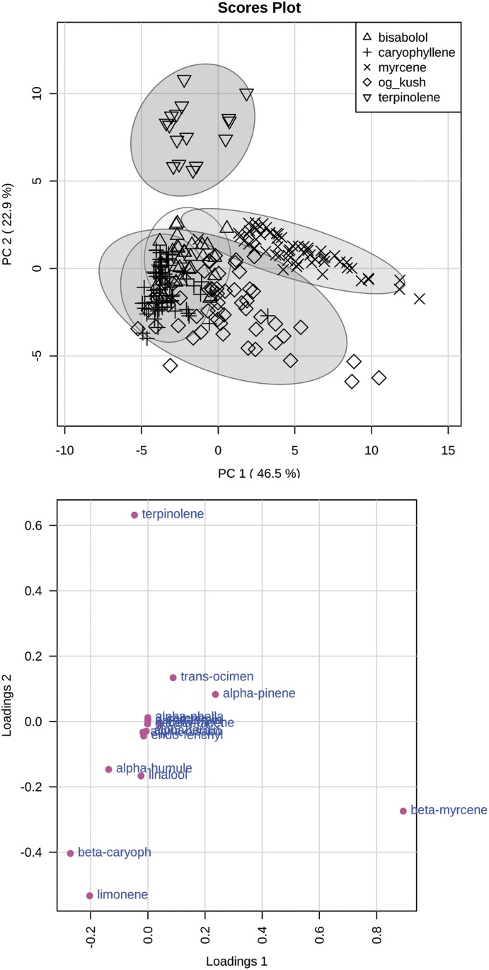 PCA scatter plot (top) and loading plot (bottom) of 5 terpenoid groups terpinolene, myrcene, caryophyllene, bisabolol, and og kush. PCA, principal component analysis.