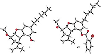 X‐Ray structures for 6 and 23.