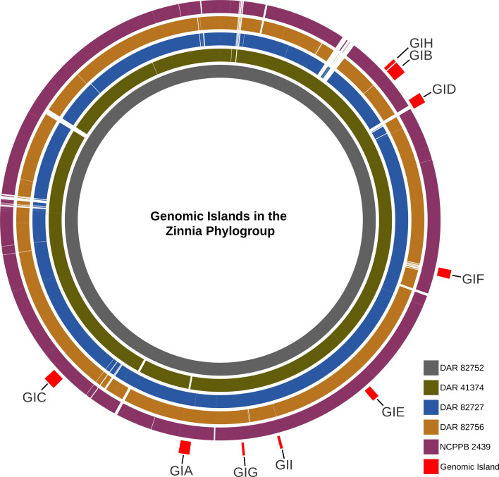 BRICK diagram showing the presence of GI in each of our isolates using DAR 82752 as the reference. From innermost to outermost, the genomes are ordered as DAR 82752, DAR 41374, DAR 82727, DAR 82756 and NCPPB 2439. GIs are labelled on the outermost red blocks.