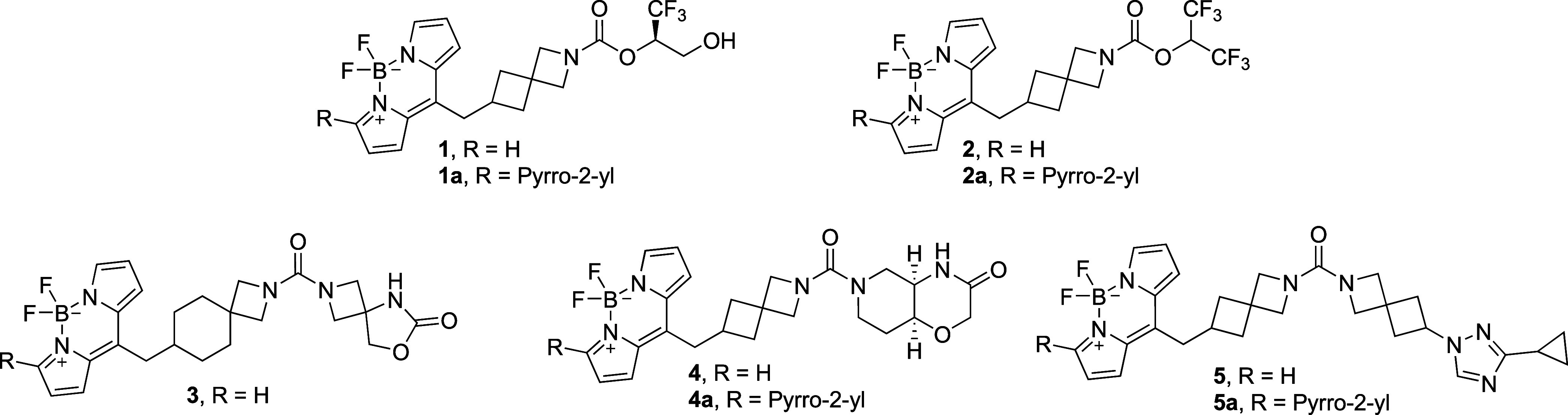 Overview of the Most Active Miniaturized Fluorescent Probes