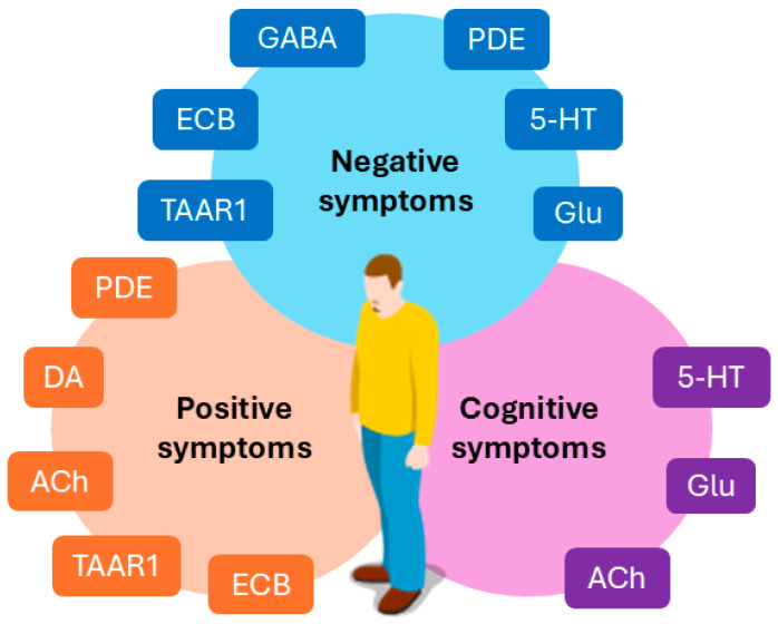 An overview of the neurotransmitters involved in positive, negative, and cognitive symptoms in schizophrenia. GABA: γ-aminobutyric acid; DA: dopamine; Glu: glutamate; ACh: acetylcholine; 5-HT: serotonin; TAAR1: trace amine-associated receptor 1; PDE: phosphodiesterase enzymes; ECB: endocannabinoid system.