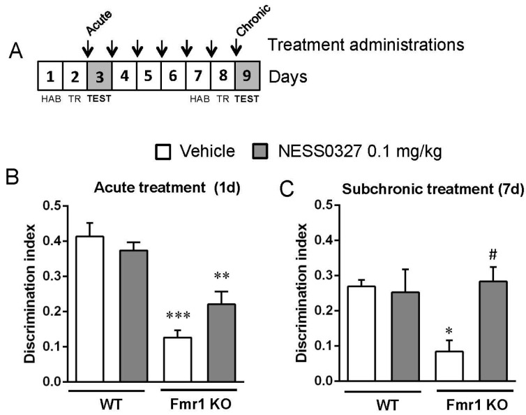 The cannabinoid type 1 (CB1) receptor neutral antagonist NESS0327 also ameliorates the cognitive deficit observed in the Fmr1 KO mice. (A) Fmr1 KO mice were tested in the novel object recognition memory test after acute (WT-Veh, n = 7; WT-NESS, n = 7; Fmr1KO-Veh, n = 4; Fmr1KO-NESS, n = 7) (B) and subchronic (C) treatment with NESS0327 (0.1 mg/kg, i.p.) or its vehicle. Drugs were administered after the training phase and discrimination indexes were obtained 24 h after training. Abbreviations: HAB, habituation; TR, training. Data are expressed as mean ± SEM. ** p < 0.01, *** p < 0.001 (Fmr1 KO vs. WT mice); ## p < 0.01 (NESS0327 vs. vehicle treatment).