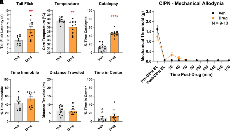 Δ8-Tetrahydrocannabinol induces catalepsy, acute analgesia, and hypothermia in female and male mice. All data are shown as the mean ± S.E.M. Data for female and male mice was pooled, as no sex differences were observed. Mice were given Δ8-THC (orange hexagon) or vehicle (black circle) (32mg/kg, IP). (A) Naïve female (open symbols) and male (closed symbols) mice were injected with Δ8-THC or vehicle before undergoing the cannabimimetic behavior tetrad outlined in Methods. The statistics were analyzed via an unpaired, two-tailed Student’s t-test. **P < 0.01, ****P < 0.0001. N = 10 mice/group. (B) Female and male mice had CIPN induced as outlined in Methods. N = 9–10 mice/group. The data were analyzed via two-way ANOVA with Sidak’s post hoc test; we observed no significant differences between the Δ8-THC and vehicle groups (P > 0.05). BL, baseline.