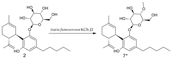 Biotransformation of metabolite 2 to metabolite 7 via I. fumosorosea KCh J2; * Previously undescribed compound.