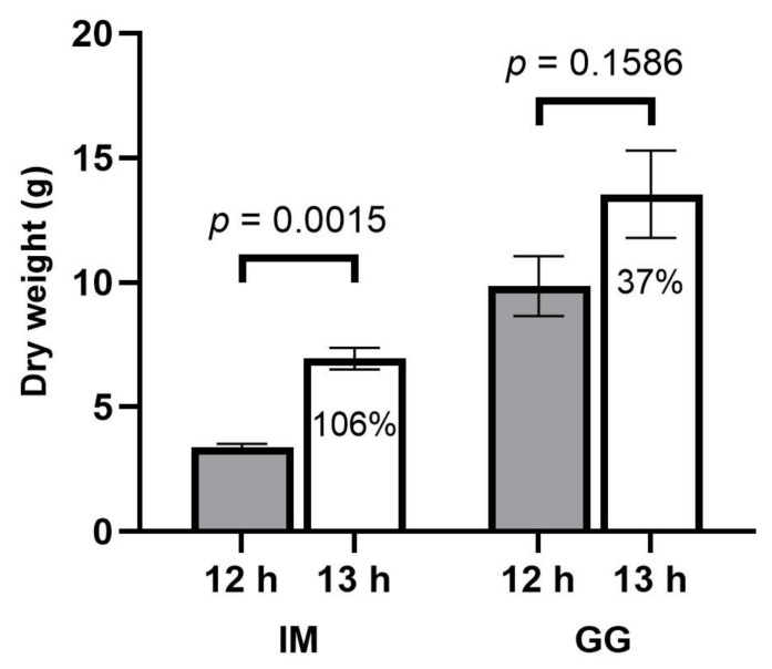 Dry weight responses of individual plants’ apical inflorescence to 12 h (filled bars) and 13 h (empty bars) photoperiod treatments of C. sativa cultivars ‘Incredible Milk’ (IM) and ‘Gorilla Glue’ (GG). Data are means ± SE, n = 3. Error bars are presented for all data but may be obscured for small SE values. Percentage values marked in the 13 h bars signify the increase in apical inflorescence dry weight relative to the 12 h treatment, and the p-values above each cultivar represent the significance level of the comparison of means according to Student’s t-test.