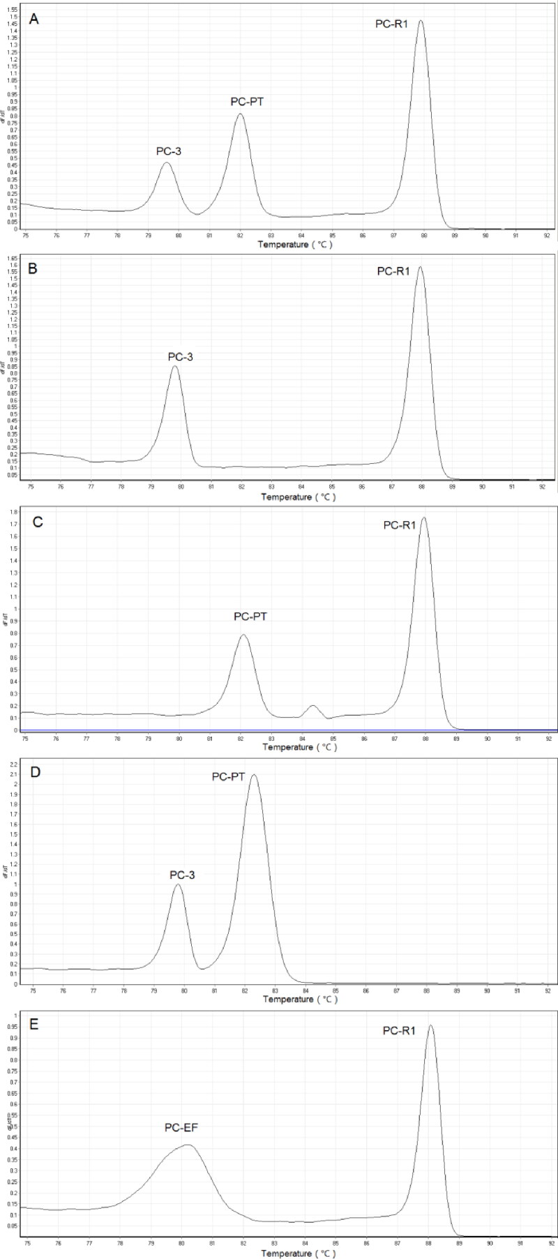 Multiplex PCR HRM assay using Eva Green™ for Psilocybe cubensis. (a) PC-R1 + PC-PT + PC-3, (b) PC-R1 + PC-3, (c) PC-R1 + PC-PT, (d) PC-3 + PC-PT and (e) PC-R1 + PC-EF.