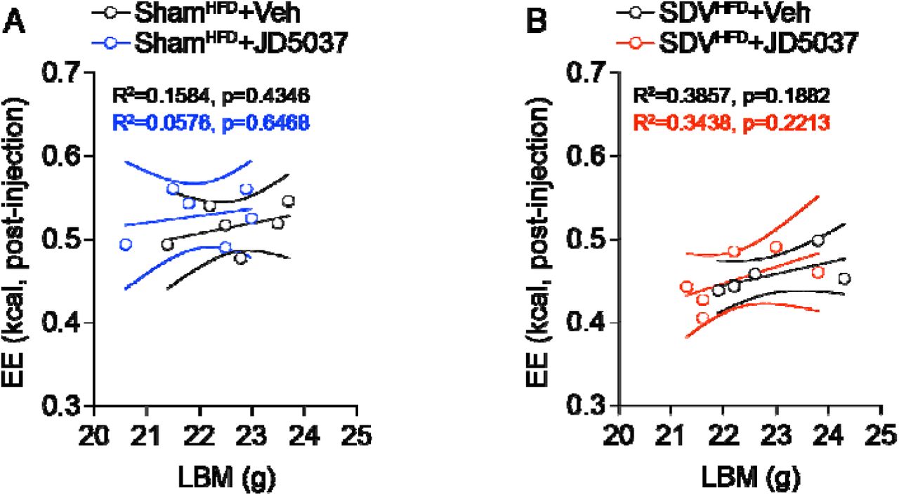 Energy expenditure does not covary with lean body mass in ShamHFD-and SDVHFD-mice.Analysis of the relationship between energy expenditure (EE) and lean body mass (LBM) in ShamHFD- and SDVHFD-mice treated with vehicle or JD5037 (A for ShamHFD-mice; B for SDVHFD-mice). This analysis relates to Figure 4. Statistics: R2 and p values are indicated within the panels.