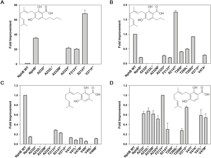 Screening NphB* variants for the biotransformation of the CBGA derivatives. (A–C), fold improvement in the yields for 2a∼2c, respectively, relative to the yield of NphB WT; (D) fold improvement in the yields for 2d, relative to the yield of NphB* F223Y (no biotransformation activity was detected for 2d in NphB WT or NphB*). The reaction was carried out at 30°C in a 50 mM Tris-HCl buffer (pH 8.0) with 1 mM GPP, 1 mM aromatic substrates, 5 mM MgCl2, and 0.9 gcdw L−1 of cells for 24 h. The error range represents the standard deviation from biological replicates of n = 3. The absolute yield of NphB WT for 2a was 6.4%, while the yields of NphB WT for 2b and 2c and F223Y* for 2d were calculated based on the LC peak area due to the lack of available standards.