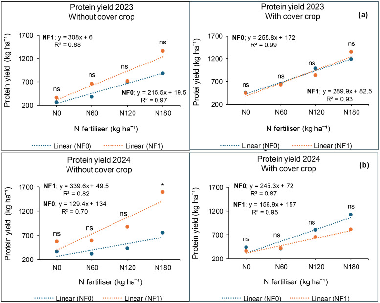 Four scatter plots show protein yield versus nitrogen fertilizer application for 2023 and 2024, with and without a cover crop. Each plot includes two linear regression lines: NF0 (blue) and NF1 (orange). The top left plot for 2023 without cover crop shows NF1 with R² = 0.88, NF0 with R² = 0.97. The top right plot for 2023 with cover crop shows NF0 with R² = 0.99, NF1 with R² = 0.93. The bottom left plot for 2024 without cover crop shows NF1 with R² = 0.82, NF0 with R² = 0.70. The bottom right plot for 2024 with cover crop shows NF0 with R² = 0.87, NF1 with R² = 0.95.