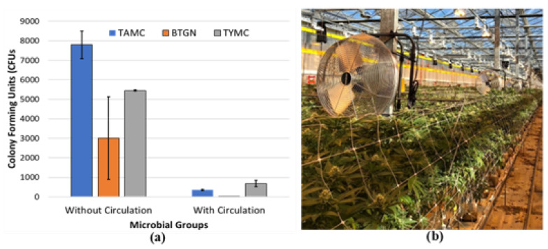(a) Effect of enhanced air flow around cannabis plants using circulating fans on total colony-forming units of microbes in these tissues. Vertical bars show total colony-forming units of total aerobic count (TAMC), bile-tolerant Gram-negative count (BTGN), and total yeast and mold count (TYMC) with and without air circulation. (b) Fans were positioned 35 cm above the crop canopy to circulate air continuously at ~7 m/s over ~40 plants, beginning in week 2 of the flowering period until harvest. The trial was replicated three times in different greenhouse compartments. Inflorescences were dried prior to microbial analysis.