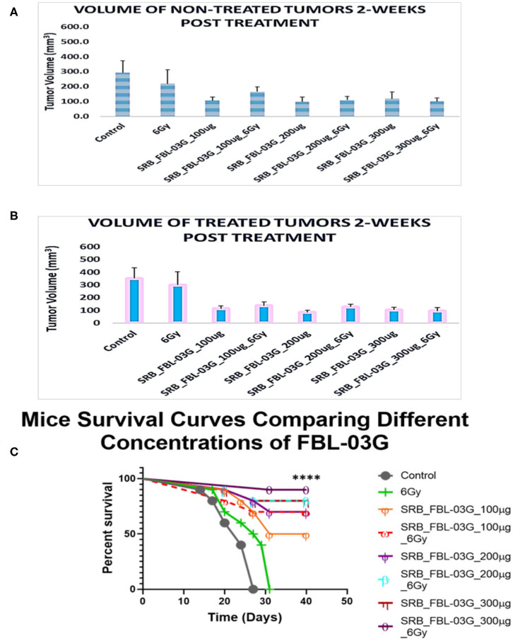 Investigating the optimal concentration of FBL-03G loaded in SRB to enhance the abscopal effect. Smart radiotherapy biomaterial (SRB) loaded, respectively, with FBL-03G (100, 200, or 300 μg). C57BL/6 mice were inoculated with pancreatic cancer cells (KPC) on both flanks. Tumor volume and survival (n = 10 for each cohort) were assessed. (A) Volumes of non-treated tumors 2-weeks post treatment (n = 10 for each cohort); (B) volumes of treated tumors 2-weeks post treatment (n = 10 for each cohort). This study investigated using different concentrations of FBL-03G with/without 6Gy to determine its potential effect on mice survival over time. (C) Represents a Log-rank (Mantel-Cox) survival graph (n = 10) (****p < 0.0001). (C) Survival results show no difference in survival for cohorts treated with different concentrations of SRB loaded with FBL-03G.