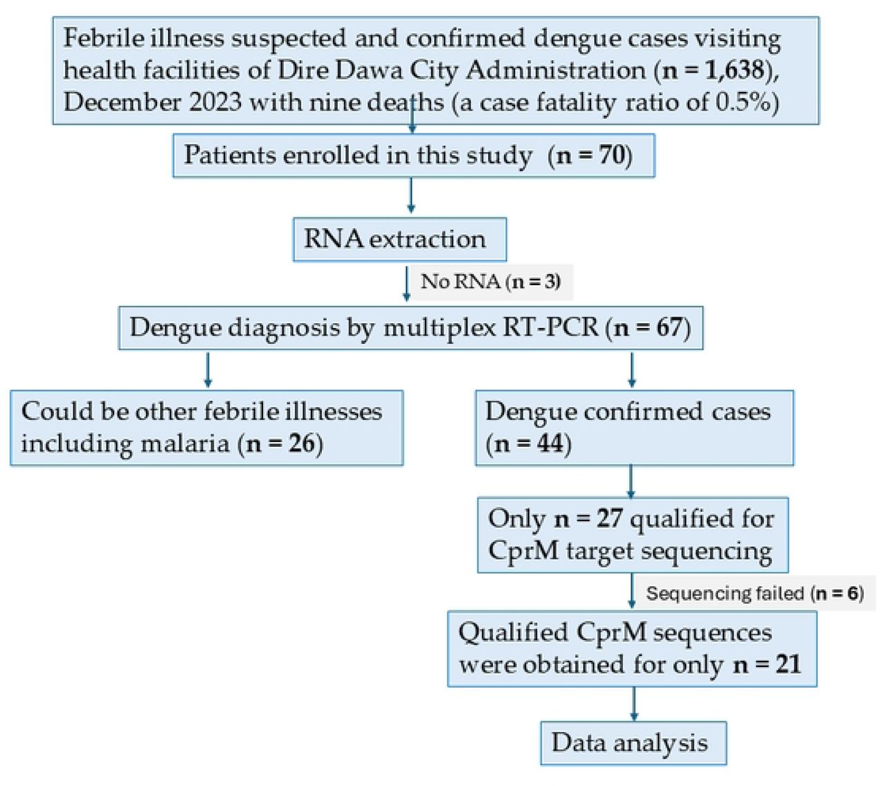 Flow chart showing enrollment of suspected Dengue and/ or other febrile illnesses, including malaria patients and molecular detection and characterization of strains isolated during the 2023 dengue outbreak in Dire Dawa, Ethiopia.