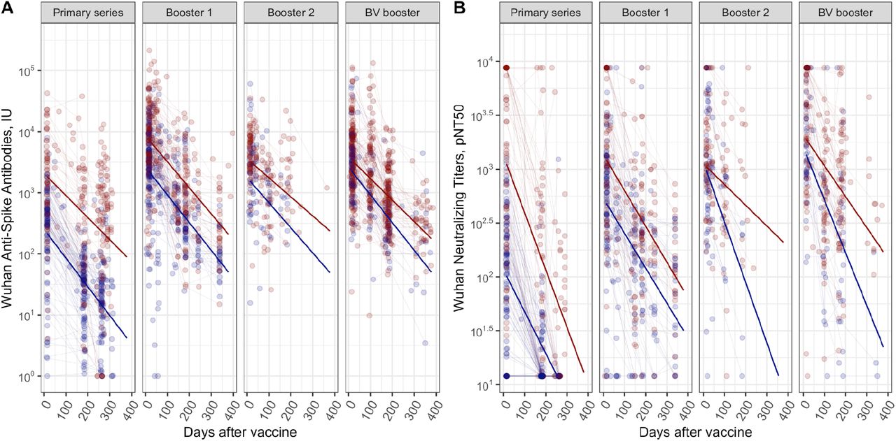 NHR following 4 doses, Wuhan strain for anti-Spike antibodies (A) and neutralizing titers (B).Red dots and lines correspond to subjects with prior infection at the given dose and blue dots and lines correspond to infection-naive subjects.