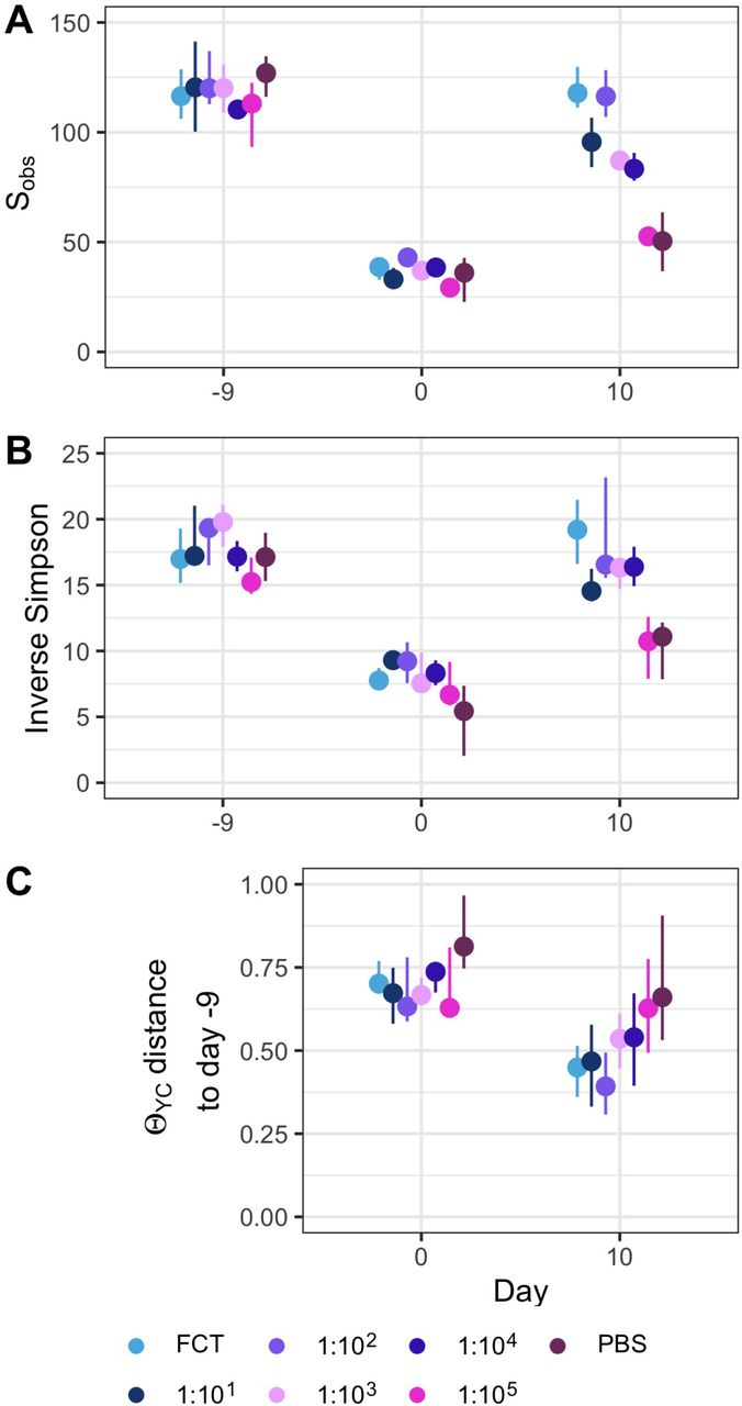Diversity of murine gut bacterial community had not recovered at the time of C. difficile infection in streptomycin-treated mice.α-diversity, measured by Sobs (A) and Inverse Simpson (B), prior to beginning antibiotic treatment (day −9), after fecal community transplant on the day of C. difficile challenge (day 0) and at the end of the experiment (day 10). (C) β-diversity, measured by θYC, distance between community structures on day 0 or 10 compared to the community prior to antibiotic treatment (day −9) community of that individual. Data are grouped by the transplant received, undiluted fecal community (FCT), diluted fecal community (1:101-1:105), or PBS. Points are median values and lines represent the interquartile range.
