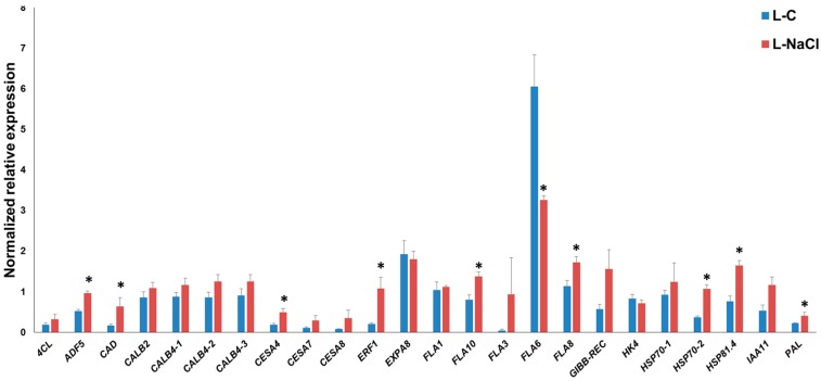 Reverse Transcription-quantitative PCR (RT-qPCR) of hemp leaves under control (L-C) and NaCl exposure (L-NaCl). The asterisks (*) indicates statistically significant differences calculated with the Student’s t-test (p < 0.05).