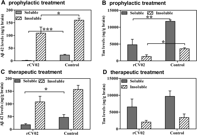 Vaccination with rCV02 reduced the level of Aβ42 and tau in the brains of 3 × Tg-AD mice.3 × Tg-AD mice were immunized with rCV02 at 3 months (prophylactic; panels A and B) or 12 months (therapeutic; panels C,D) of age. The brains were collected for evaluation at 19 months and 21 months of age, respectively. (A,C) Soluble and insoluble Aβ42 levels in the brain were measured by sandwich ELISA. (B,D) Soluble and insoluble tau levels in the brain were measured by ELISA. Data represent the mean ± SE for each group (n = 8). Statistically significant differences were determined by Student’s t-test. *p < 0.05, **p < 0.01, ***p < 0.001, compared with the control group (3 × Tg-AD).