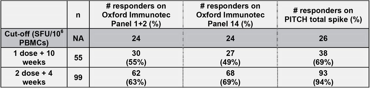 Table showing the number and percentage of positive responders to SARS-CoV-2 spike at 1 dose + 10 weeks and 2 dose + 4 weeks measured across 3 different panels: Oxford Immunotec Panel 1+2 and Panel 14 and PITCH total spike. Oxford Immunotec T-SPOT assay defines the cut-off for a positive responder as 6 SFU/250,000 PBMCs, which translates to 24 SFU/106 PBMCs. The PITCH ELISpot assay defines the cut-off for a positive responder as 26 SFU/106 PBMCs. This cut-off is calculated from negative control wells as: (mean + 2 standard deviations). The cohort analysed here is described in Table 1 (naïve and previously infected groups are combined).