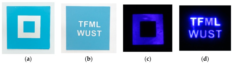 The fidelity of the selective dielectric barrier discharge to the shape of bottom electrodes, deposited on developed structures: (a) rectangular electrode, (b) letter-shaped electrode, (c) rectangular discharge, (d) letter-shaped discharge.