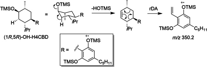 Possible fragmentation pathway to the ion m/z 350 seen in the spectrum of (1R,5R)‐OH‐H4CBD (metabolite M32).