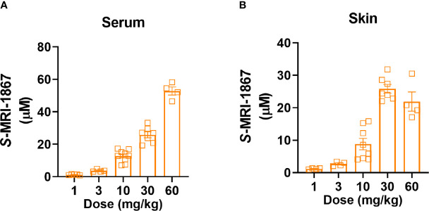 Dose-dependent systemic and skin exposure of MRI-1867 in Mdr1a/b(−/−) -Bcrp(-/-) mice. (A) Serum and (B) Skin levels of MRI-1867 at 1 hour after the last dose of 14 days oral administration at 1, 3, 10, 30, and 60 mg/kg doses in bleomycin-treated Mdr1a/b(−/−) -Bcrp(-/-) mice. Data represent means ± SEM from 4-10 mice per group.