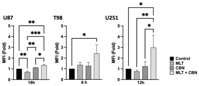 Flow cytometric analysis of intracellular ROS production in GBM cell lines under time-dependent single or combined CBN and MLT treatments (U87: MLT 0.3 mg/mL and CBN 25 µM. T98: MLT 0.7 mg/mL and CBN 25 µM. U251: MLT 0.4 mg/mL and CBN 20 µM). Quantification of DCFDA MFI, expressed as fold change relative to the untreated control, to assess intracellular ROS levels in U87 (16 h), T98 (6 h), and U251 (12 h) lines under single or combined MLT and CBN exposure. In all bar graphs, the untreated control group was normalized to 1. Data are presented as the mean ± SD of at least three independent biological replicates. Statistical significance was determined using a one-way ANOVA followed by Tukey’s post hoc test for multiple comparisons (* p < 0.05, ** p < 0.01, *** p < 0.001).