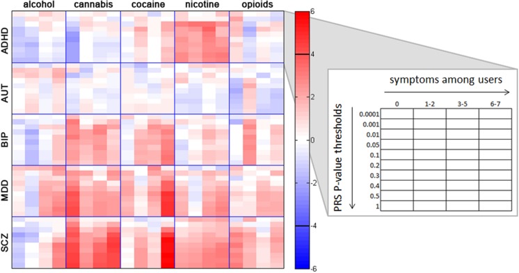 Associations between individual substance involvement and polygenic risk scores (PRS) for five major psychiatric disorders. Within each grid space, p-thresholds at which PRS were calculated (i.e., p < 0.0001, 0.001, 0.01, 0.05, 0.1, 0.2, 0.3, 0.4, 0.5, and 1.0) are represented vertically in ascending order. Levels of involvement (i.e., no/non-regular use, use without endorsement of any dependence symptoms, 1–2 dependence symptoms, 3–5 dependence symptoms, and 6–7 dependence symptoms) are represented horizontally in ascending order. Colors represent z-scores for each association test, with no lifetime or nonregular use as the reference group. For example, the red colors in the crosstab between SCZ and cannabis indicate a high correlation between genetic risk for SCZ and cannabis involvement. The black horizontal bars in the color bar indicate the approximate z-score cutoff for significance post-correction for multiple comparisons (z = ± 3.911). Post-hoc Wald tests comparing all levels of substance involvement with one another are reported in Supplementary Tables S2–S7. ADHD, attention deficit hyperactivity disorder; AUT, autism; BIP, bipolar disorder; MDD, major depressive disorder; SCZ, schizophrenia.