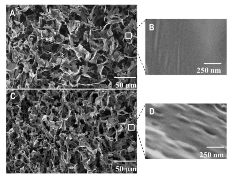 SEM micrographs of pure HEC (A,B) and drug-loaded nanocomposite HEC/PM/CBD cryogels (C,D).