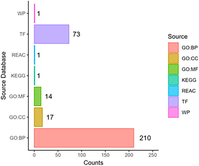 Barplot of counts of enriched terms from g:Profiler functional enrichment analysis. Functional enrichment analysis was carried out using g:Profiler (version e109_eg56_p17_1d3191d) with a g:SCS threshold of 0.05. Analysis was performed across the Gene Ontology (GO), Kyoto Encyclopedia of Genes and Genomes (KEGG), Reactome (REAC), TRANSFAC (TF), and WikiPathways (WP) databases.