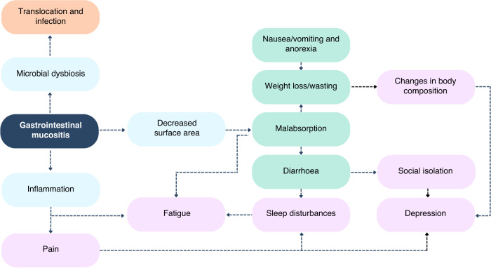 The centrality of gastrointestinal mucositis to infectious (orange), gastrointestinal (green) and neuropsychological (purple) symptoms commonly reported in people with advanced cancer undergoing chemotherapy.This positions gastrointestinal mucositis as an ideal therapeutic target.