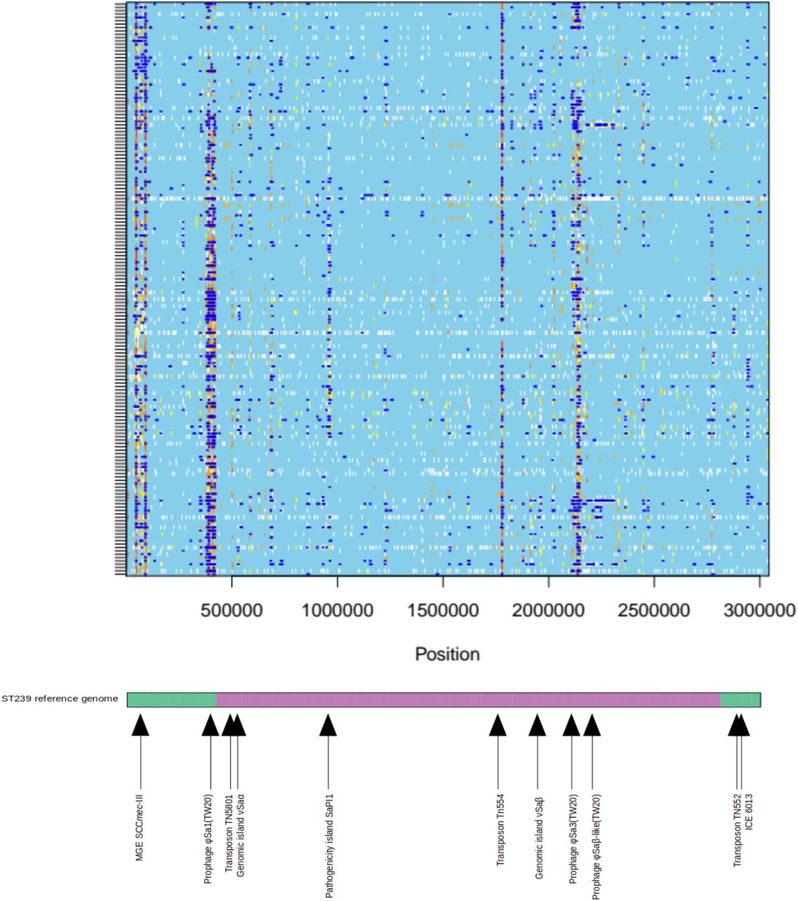 Recombination plot of the ST239 genomes compared with the ST239 TW20 reference genome. Dark blue regions represent potential sites of recombination. Sites that are non-polymorphic are shown in light blue. Polymorphic sites are shown in a colour indicating their level of homoplasy; white is no homoplasy and the range from yellow to red is increasing degrees of homoplasy. The positions of known MGEs and the two inherited regions estimated by Holden et al. and Castillo-Ramirez et al. are highlighted along the ST239 reference genome beneath the plot; green, acquired region; magenta, backbone region.