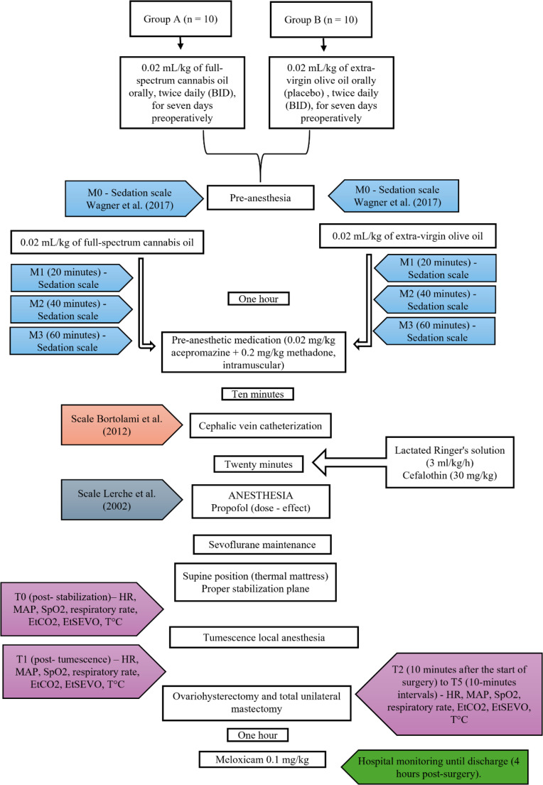 Flowchart of the experimental design of the study. Application of scales and evaluation of physiological parameters - HR: Heart rate; MAP: mean arterial pressure, SpO2: Oxygen saturation, EtCO2: end-tidal CO2, EtSEVO: End-tidal sevoflurane concentration, and T°C: temperature in degrees Celsius