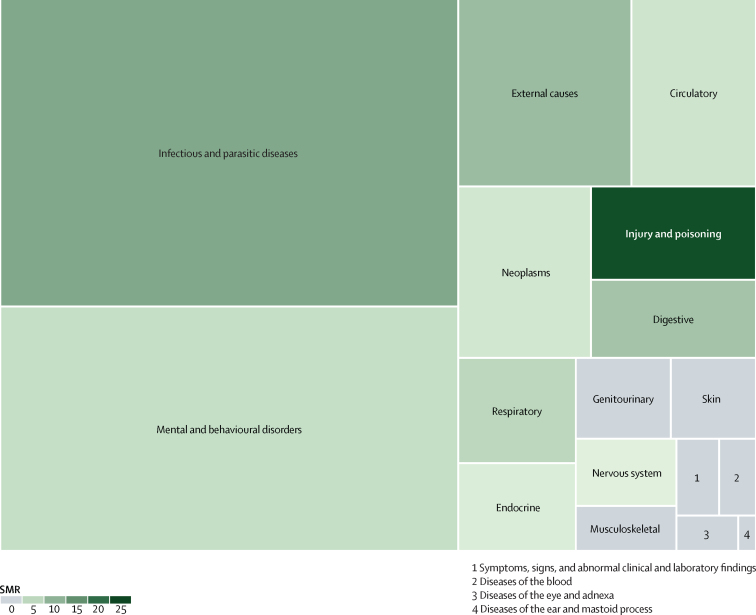 Treemap summarising the amount of available data grouped according to the ICD-10 disease categories and summary estimates of SMRsBox sizes indicate the total number of datapoints included in this Article. SMRs used are summary estimates for the ICD-10 disease categories for both sexes combined. Grey boxes (SMR of 0) indicate that none of the studies included in this Article reported SMR for both sexes combined. ICD-10= International Classification of Diseases, tenth revision. SMR=standardised mortality ratio.