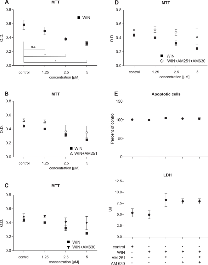 Cannabinoid receptor activation on PSC reduces growth, independent of apoptosis or necrosis.(A) MTT tests of WIN-treated PSC revealed dose-dependent inhibition of growth (p<0.05 at concentrations of 2.5 and 5 µM). (B&C) While AM251 and AM630 alone were not effective, pre-treatment with a combination of AM251 and AM630 blocked WIN-induced growth inhibition (D). The reduction in proliferated cells was neither due to necrosis (unchanged LDH levels) nor to apoptosis (constant low number of apoptotic cells in treated versus control PSC; E). Data are shown as mean±SEM (* p<0.05).