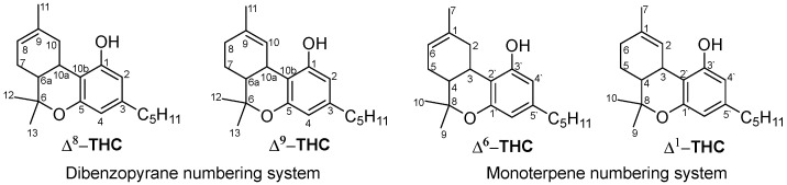 Numbering systems of tetrahydrocannabinols according to the monoterpene (past) and dibenzopyrane (current) numbering systems.