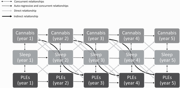 Represents statistically significant autoregressive, direct, and indirect pathway of the fixed-effect cross-lagged panel model. PLE, psychotic-like experiences.