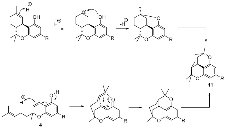 Acid catalyzed cyclization of of Δ9-THC (1) and CBC (4) to CBT (11). R = n-pentyl.