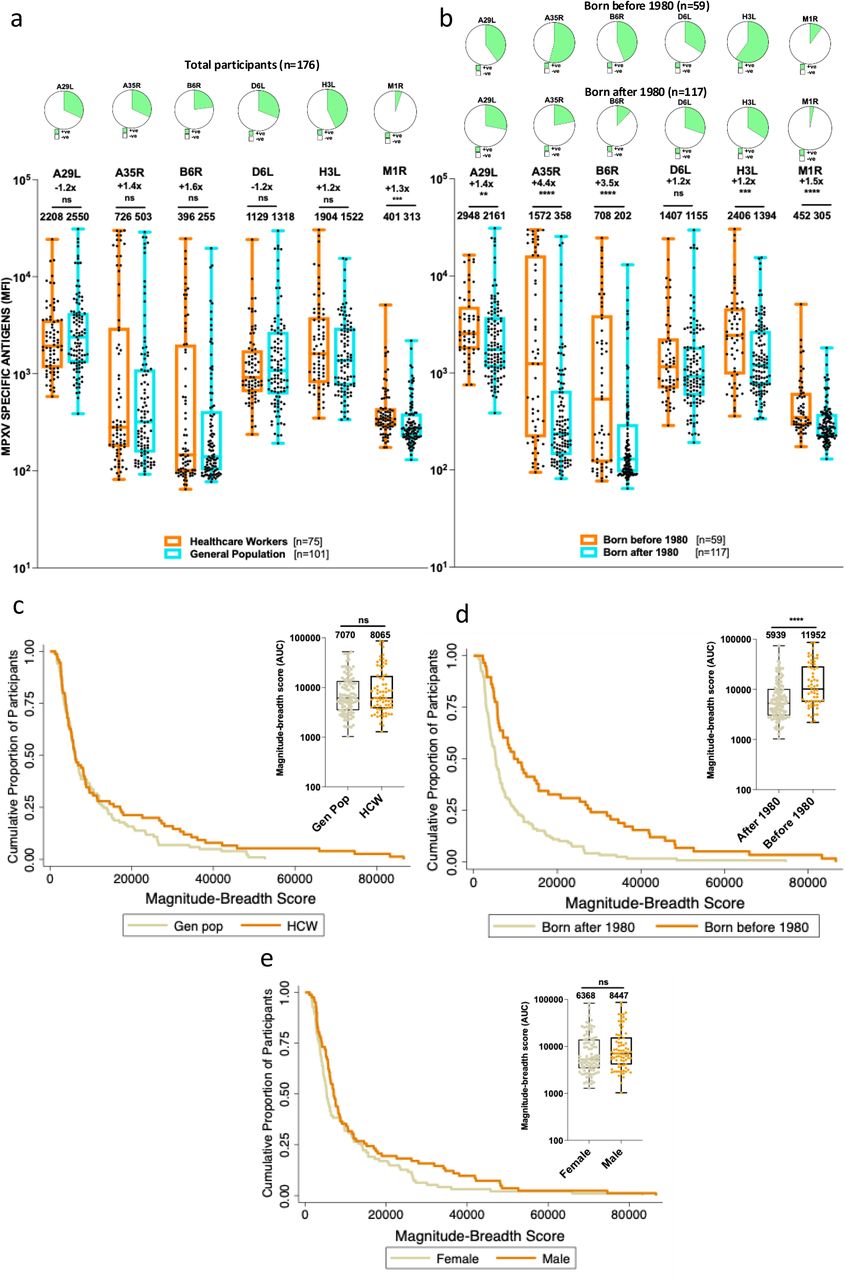 MPXV-specific IgG responses by occupational status and birth cohort.(a) Boxplots of IgG binding responses to six MPXV antigens, showing geometric mean titres (GMTs) stratified by occupational status: healthcare workers (HCW, orange) and general population (genpop, blue); and (b) by birth cohort: born before 1980 (orange) and born in 1980 or later (blue). The antigens represent distinct viral components: A29L, H3L, and M1R (intracellular mature virion, IMV); A35R and B6R (extracellular enveloped virion, EEV); and D6L (soluble antigen). Boxes indicate the interquartile range (IQR), with horizontal lines denoting medians; whiskers extend to 1.5× IQR. (c–d) Cumulative magnitude-breadth plots comparing overall antibody responses across groups. Magnitude-breadth scores represent the sum of binding antibody intensities across all six antigens, capturing both the strength (magnitude) and diversity (breadth) of the humoral response. Panel (c) compares distributions by occupational status (HCW vs GenPop); panel (d) by birth cohort (born before vs after 1980) and panel (e) by gender. Bar charts above panels a and b shows proportions of participants reactive against each antigen by age cohort. Groups were compared using the Mann–Whitney U test. *P < 0.05; **P < 0.01; ***P < 0.001; ****P < 0.0001.