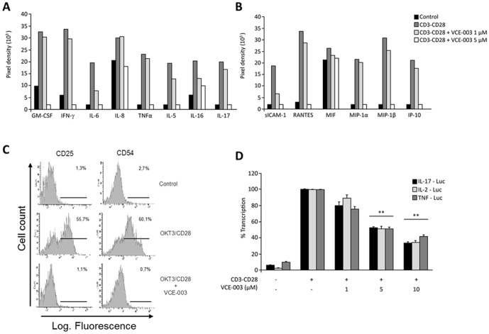 Effects of VCE-003 on T-cell activation.(A) Human peripheral T cells were stimulated for 72 h with the OKT3 (1 µg/ml) and anti-CD28 (0.5 µg/ml) mAbs in the presence or absence of increasing concentrations of VCE-003, and the culture supernatants were collected and assayed using a R&D Systems Human Cytokine Array system (A, cytokines; B, chemokines and sICAM-1). (C) Human peripheral T cells were stimulated as indicated in 2A for 72 h, and the expression of CD25 and CD54 was detected by flow cytometry. The numbers represent the percentage of CD25+ and CD54+ cells and they are representative of three different experiments. (D) Jurkat T cells transfected with TNFα, IL-17 or IL-2 promoter luciferase reporter plasmids were treated for 30 min with increasing concentrations of VCE-003, and then stimulated with OKT3 (1 µg/ml) and anti-CD28 (0.5 µg/ml) mAbs for 6 h before measuring luciferase activity in the cell lysates. The results are the means ± SEM of three measurements and they are expressed as the percentage of inhibition, considering CD3/CD28 stimulation as 100% activation: **p≤0.01 indicates significant changes between CD3+CD28 and VCE-003 treatment.