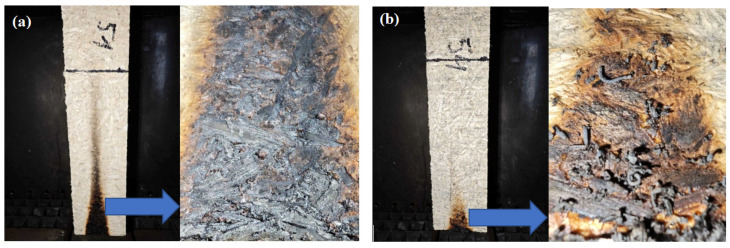 View of the specimens after flammability tests: (a)—specimen without flame retardant; (b)—specimen with expandable graphite.