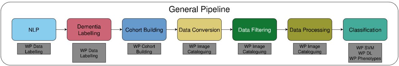 Work packages (WP) in the SCANDAN project: Data labelling, cohort building, image cataloguing, and processing for classification into being indicative of having dementia or not using deep learning (DL), support vector machine (SVM) and from the analysis of extracted imaging phenotypes.