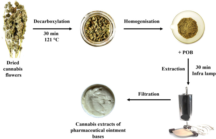 Preparation procedure of cannabis POB extracts proposed in this work.