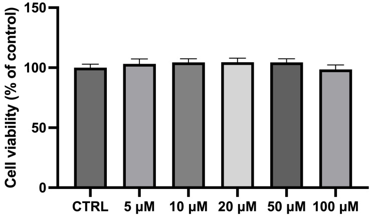 Bar plot of the MTT assay for cell viability after incubating differentiated NSC-34 motor neurons with CBN at different dosages. Cell viability of differentiated NSC-34 motor neurons treated for 24 h with increasing concentrations of CBN (5, 10, 20, 50, and 100 µM) assessed by MTT assay. Spectrophotometric absorbance results are expressed as a percentage of untreated control (CTRL) as the mean ± SEM of eight independent experiments. Results are expressed as percentage of untreated control (CTRL) and shown as mean ± SEM from eight independent experiments.