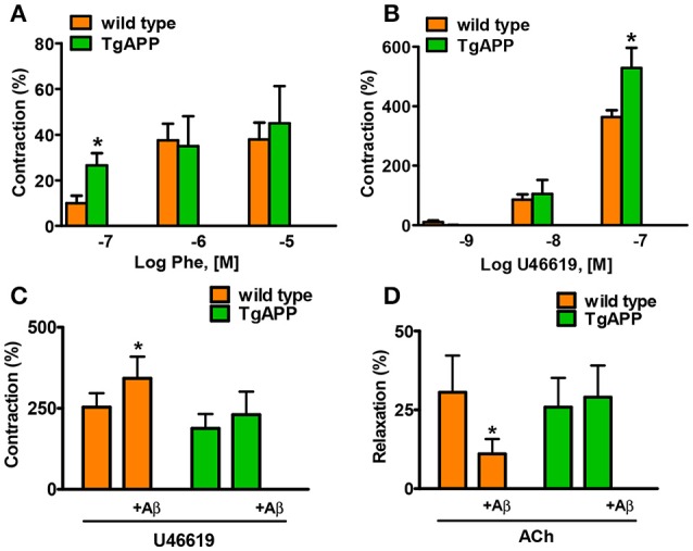 Alterations in aorta contractility of Tg APP mice. Tg APP aortae showed increased phenylephrine (A) and U46619-induced (B) contraction compared to aortae from wt mice. Vessels were precontracted by 123.5 mM K+ and washed before other treatment addition. Aβ (1 μM) incubation increased U46619 (0.03 μM) contraction (C) and decreased ACh (10 μM) relaxation (D) in wt aortae, but not in Tg APP aortae. Preconstriction levels were similar for all the vessels (approximately 5.44 mN). Results are mean ± SEM of n = 7 mice and are expressed as percentage of 123.5 mM K+-induced contraction, considered 100%. *p < 0.05 (Kruskal-Wallis, followed by Dunn's test).