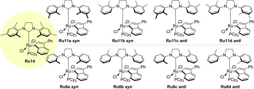 Schematic representation and naming scheme of the four possible conformers for Ru11 and Ru6.